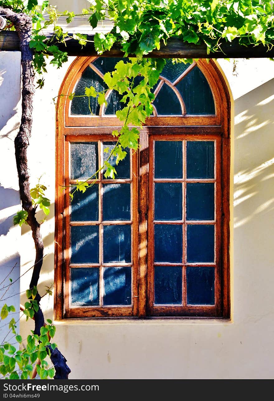 Wooden frame bay window with new wild wine leafs