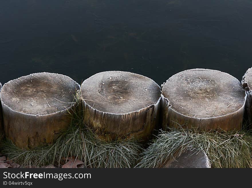 Frost on piles near lake