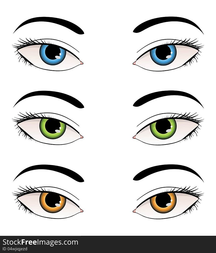 Female eyes illustration