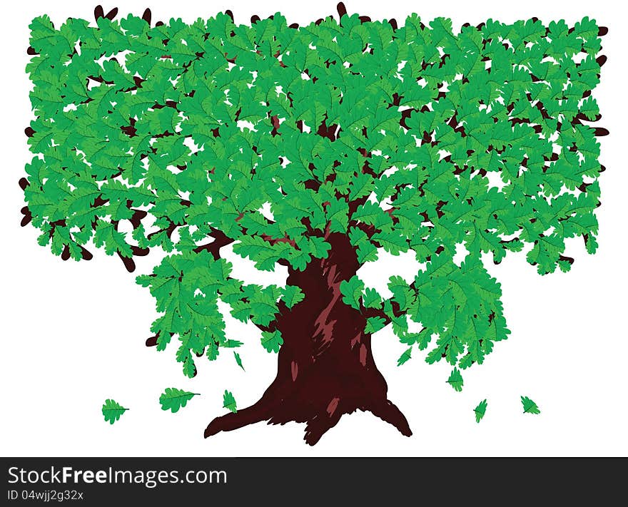 Illustration of big oak tree with fresh green leaves. Illustration of big oak tree with fresh green leaves.