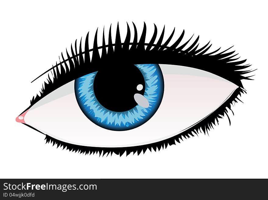 Illustration of woman's eyes of blue color on white background. Illustration of woman's eyes of blue color on white background.