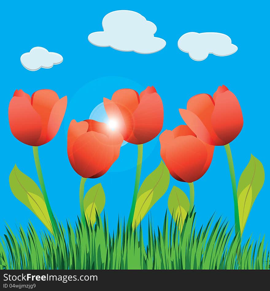 Illustration of tulip field and blue sky.