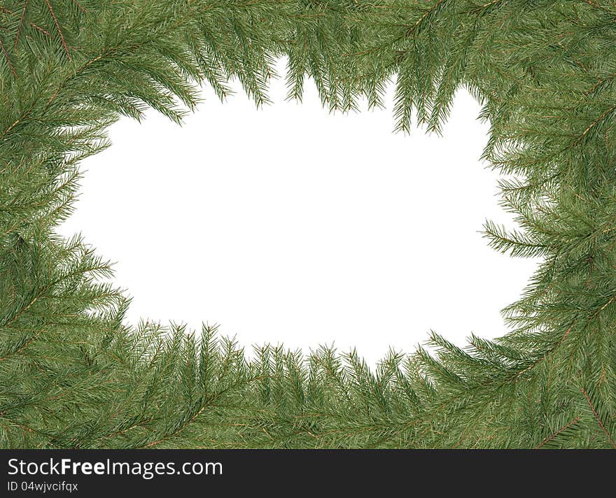 Nice Christmas frame made from lot of green spruce branches