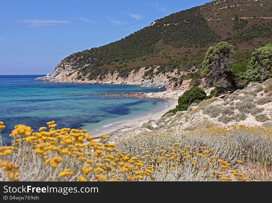 A beautiful beach with mediterranean scrubs. A beautiful beach with mediterranean scrubs