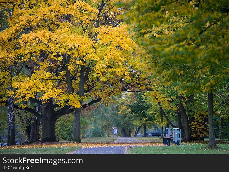 Walk in the park