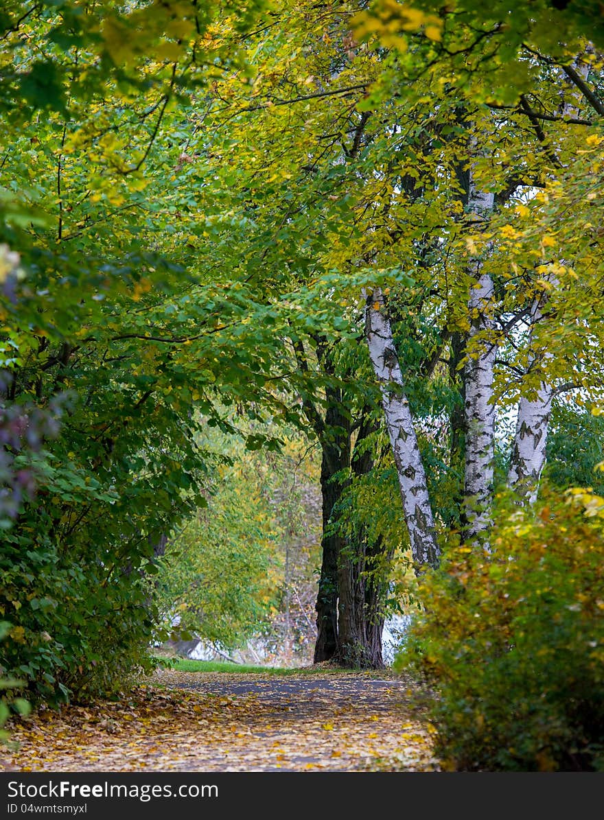 A walk in the park