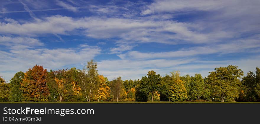 A parkland view in fall