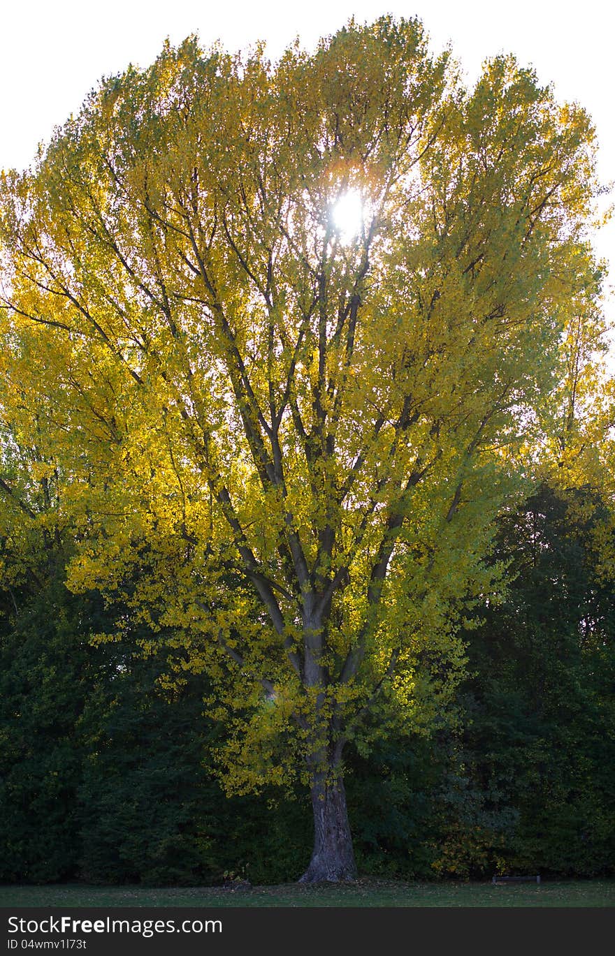 A parkland view in fall