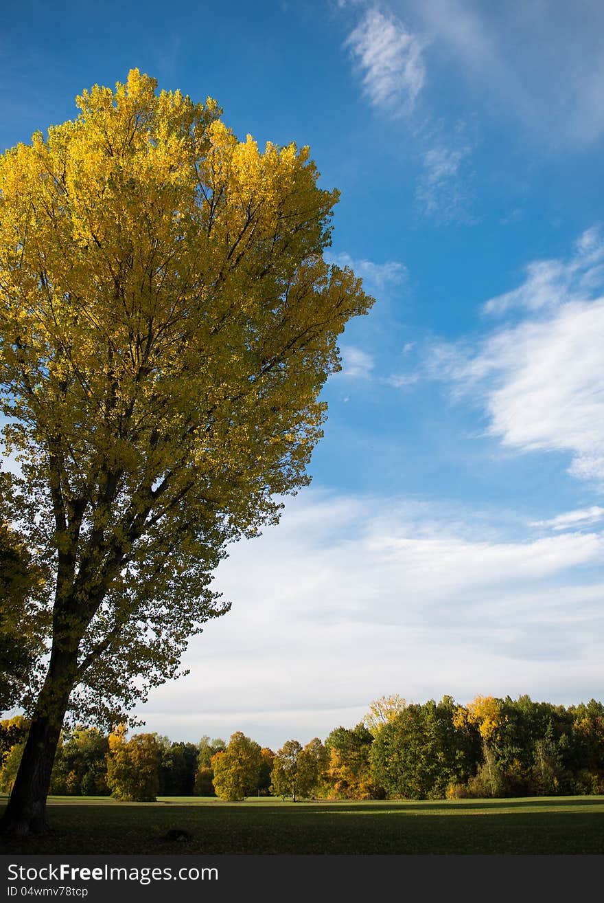 A parkland view in fall