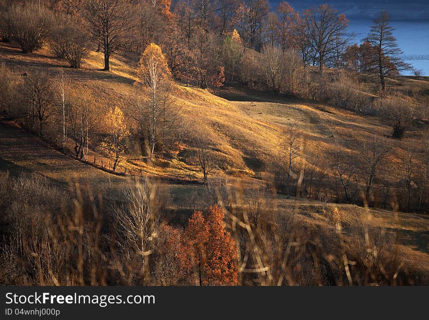 Hills in fall season