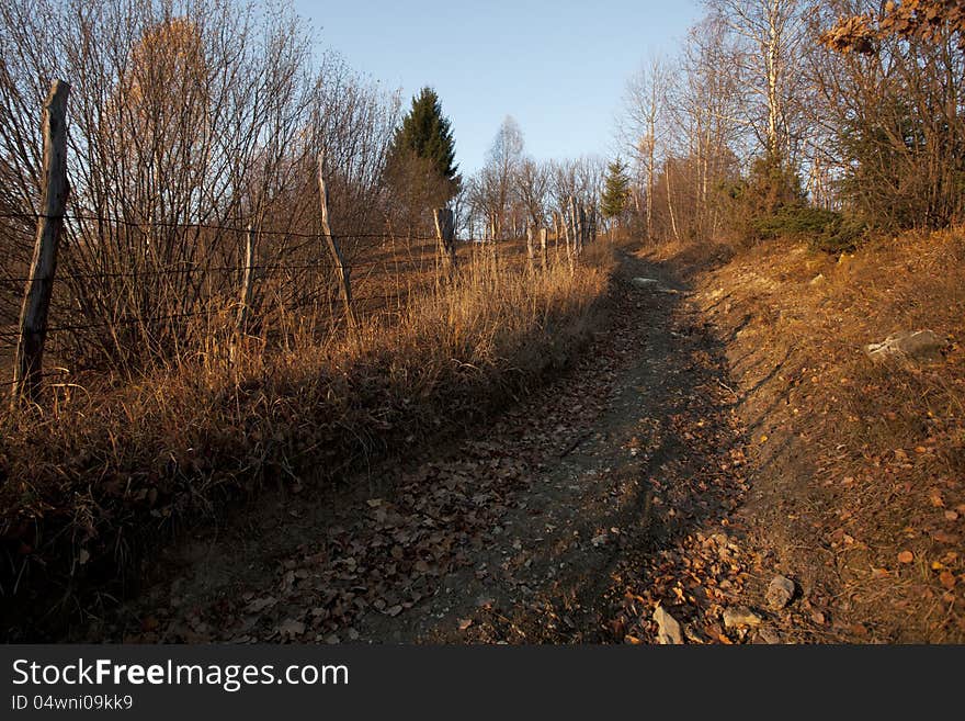 Rural Road In Fall Season