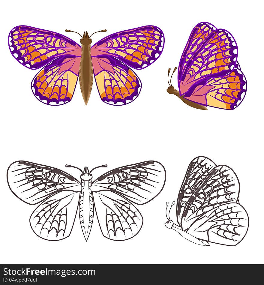 Set of four butterflies isolated on white without gradients and transparencies. Set of four butterflies isolated on white without gradients and transparencies