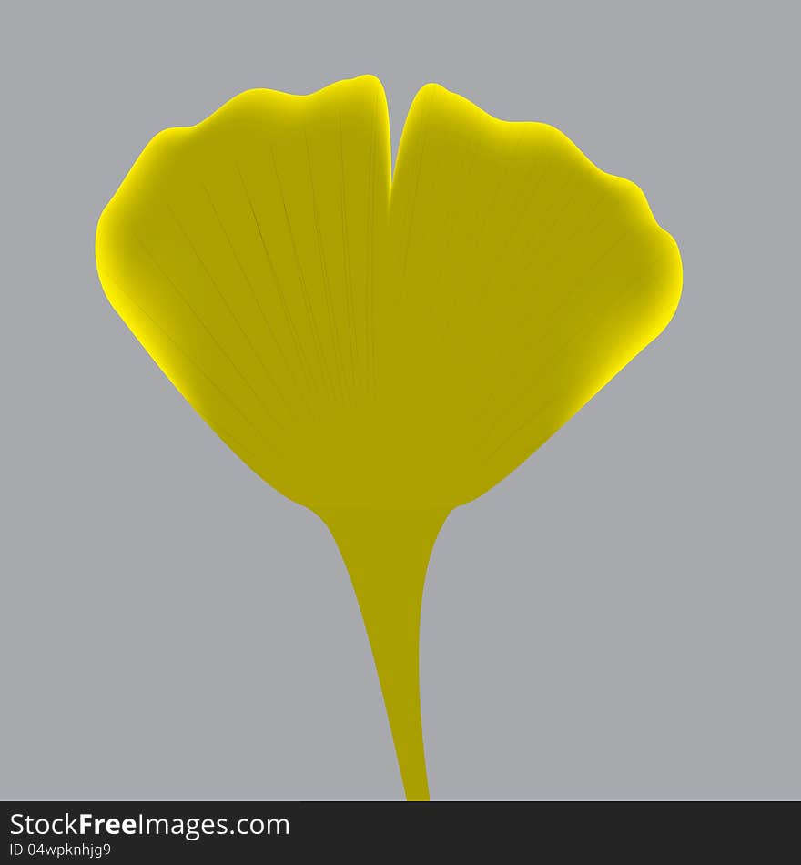 Leave of ginkgo biloba. vector.