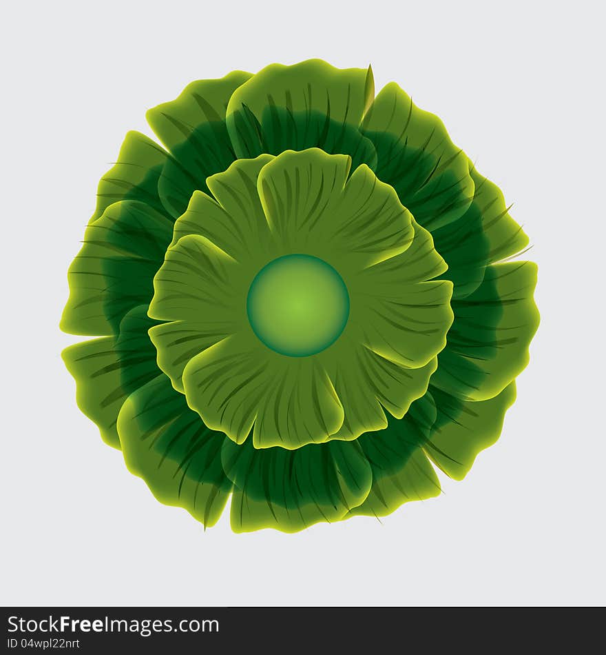 Abstract Green Flower On White Background.