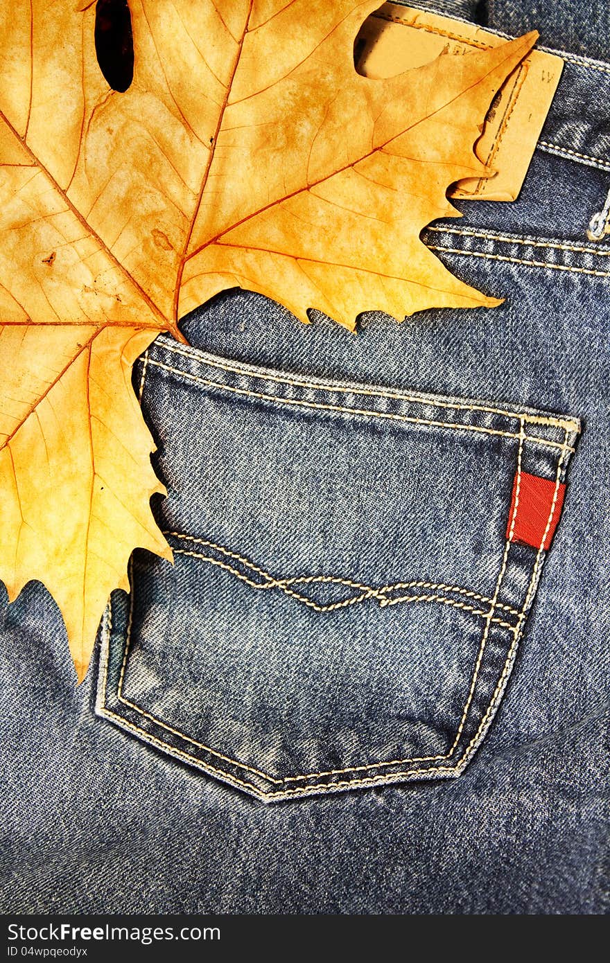 Blue Jeans and autumn leaf