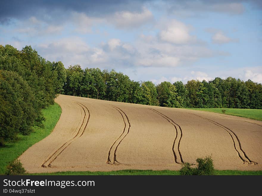 Summer Landscape