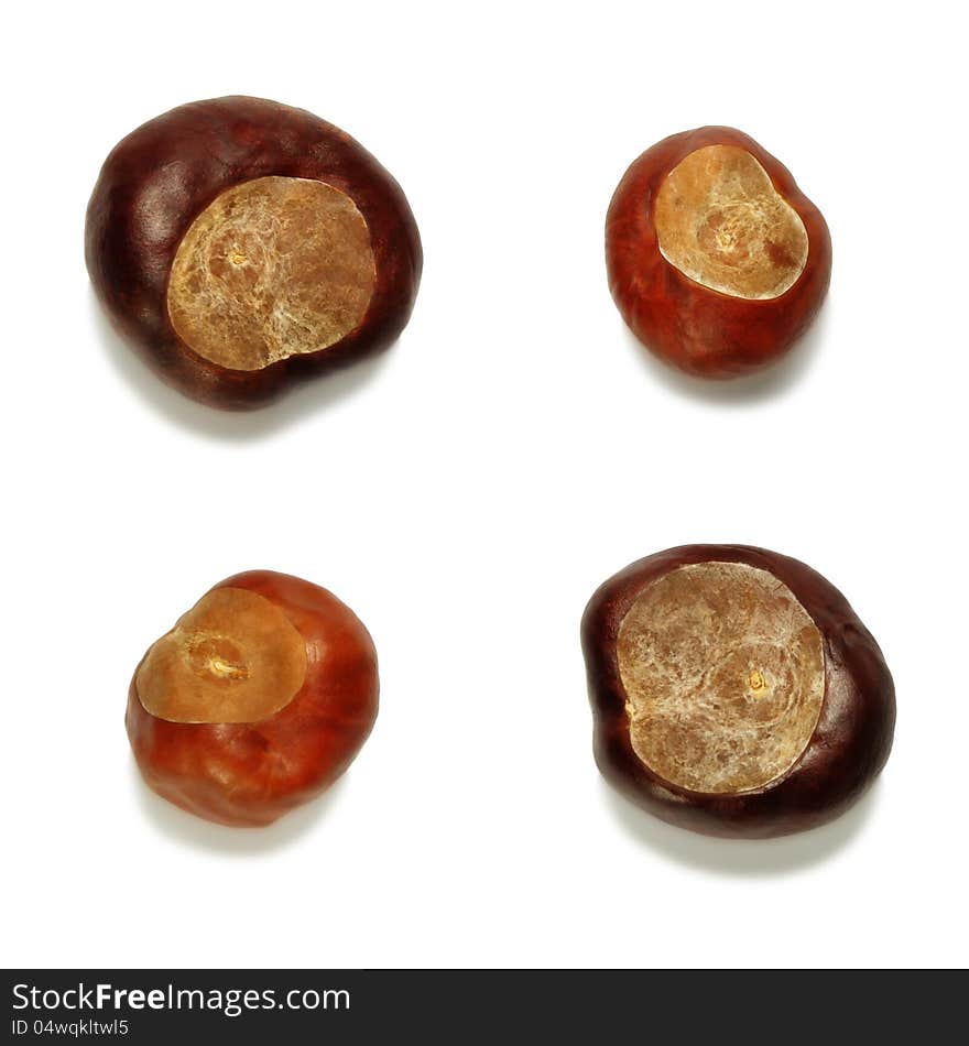 A set of the brown chestnuts