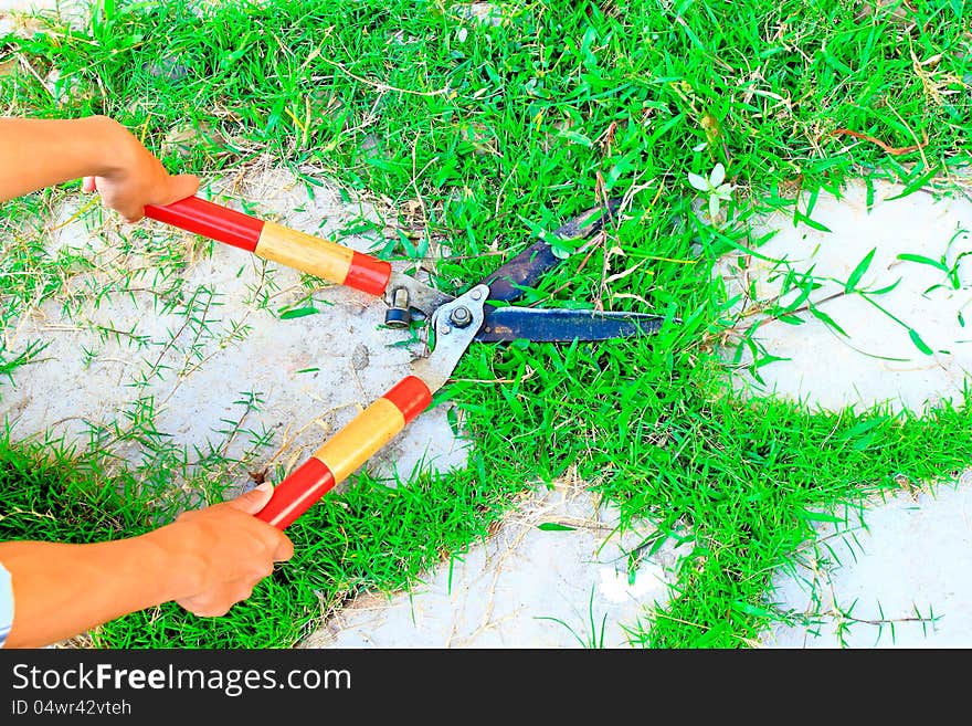 Hand man cutting the grass, the grass and pavement. Hand man cutting the grass, the grass and pavement.