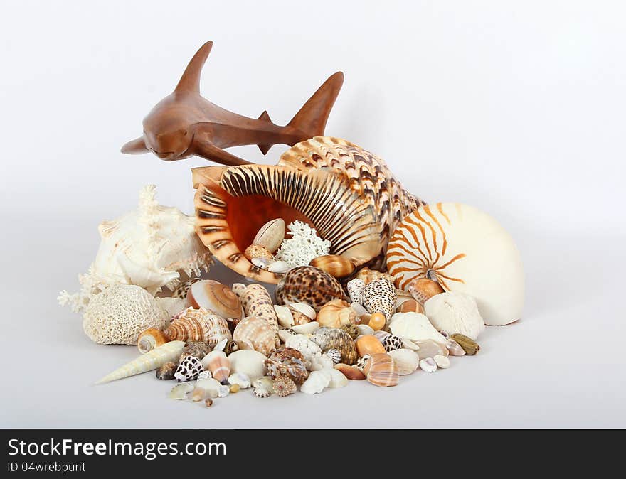 Wooden Carved Shark Hovering Over Seashells. Wooden Carved Shark Hovering Over Seashells