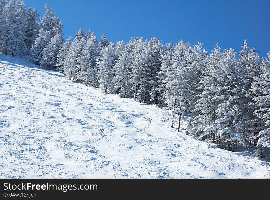 Mountain ski slope and winter forest