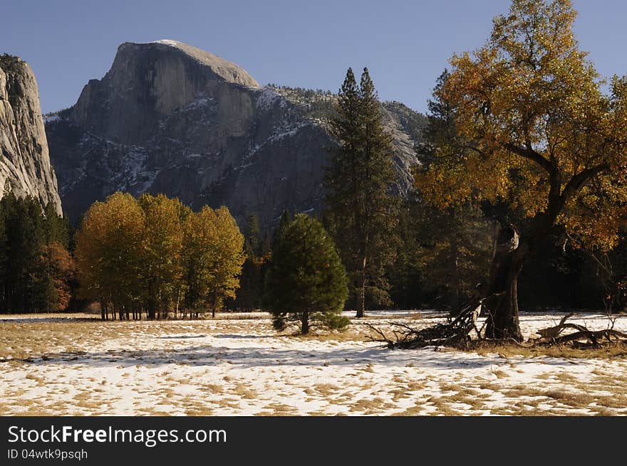 Fall Foliage at Yosemite