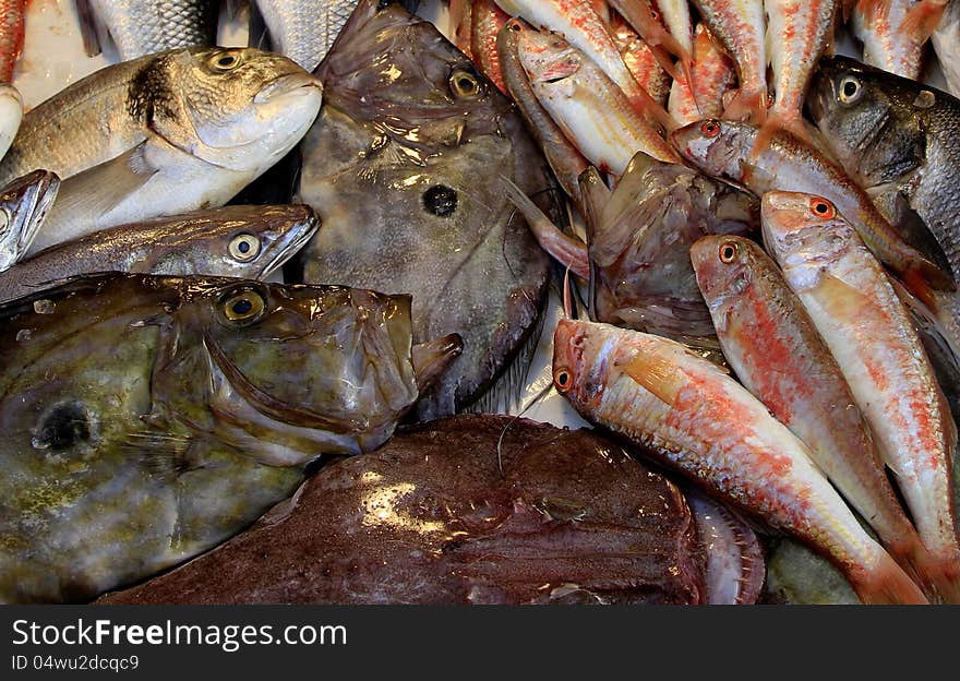 Fresh fish in a restaurant's kitchen.