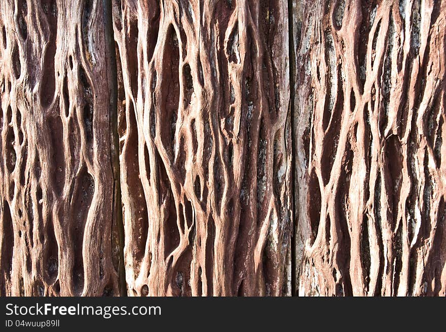 Wood grain at the sun light shines on morning. Wood grain at the sun light shines on morning