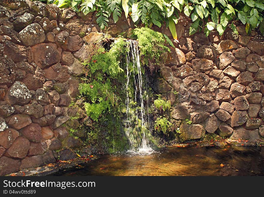 A cascading waterfall in the rainforest of the Allerton Gardens in the National Tropical Botanical Gardens on the Island of Kauai, Hawall. The clear water falls gently into a small pool of clear water, over a cliff of rocks that were assembled by humans. Photo taken on May 21, 2012. A cascading waterfall in the rainforest of the Allerton Gardens in the National Tropical Botanical Gardens on the Island of Kauai, Hawall. The clear water falls gently into a small pool of clear water, over a cliff of rocks that were assembled by humans. Photo taken on May 21, 2012