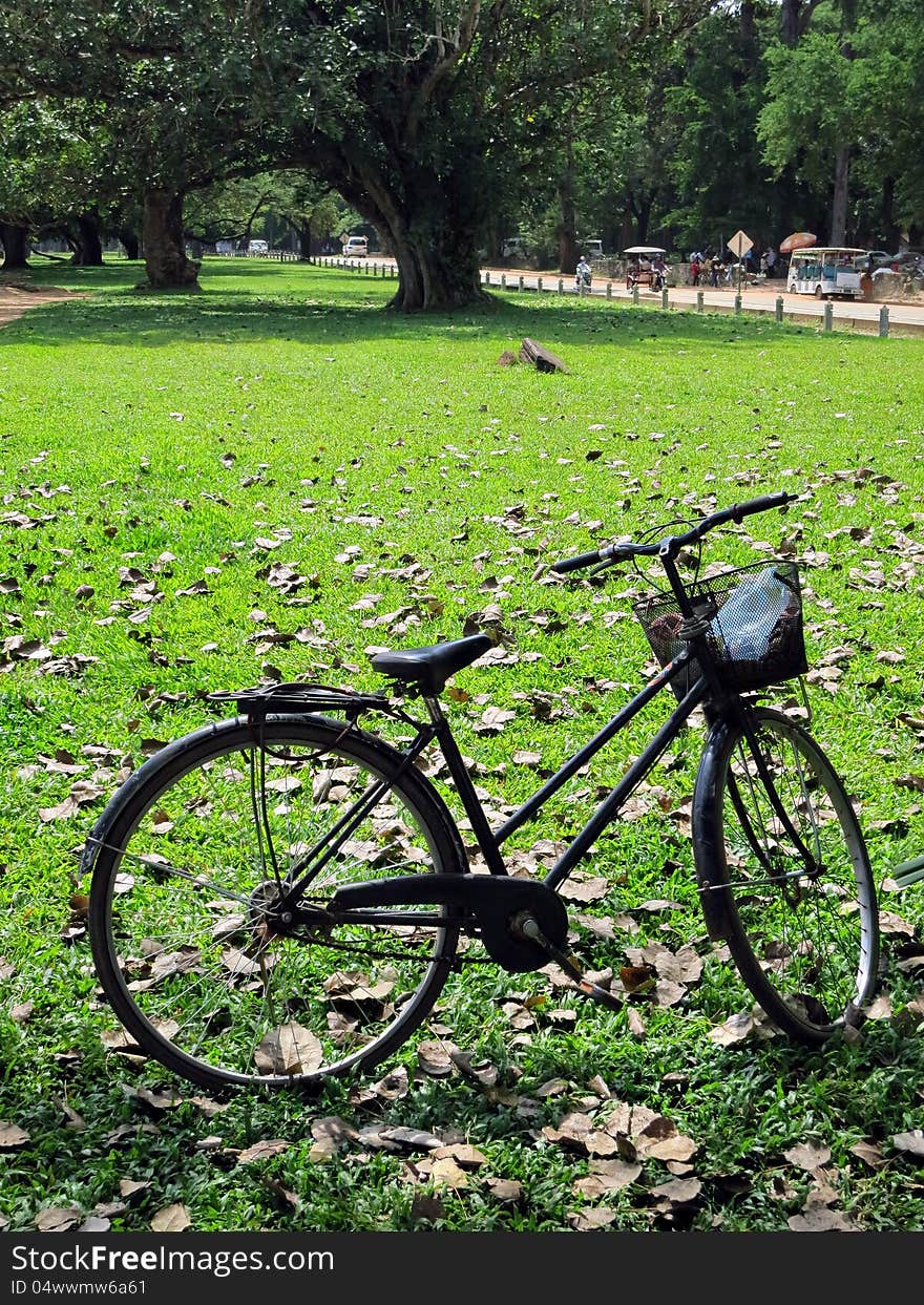 Old touring bikes parked in a summer park