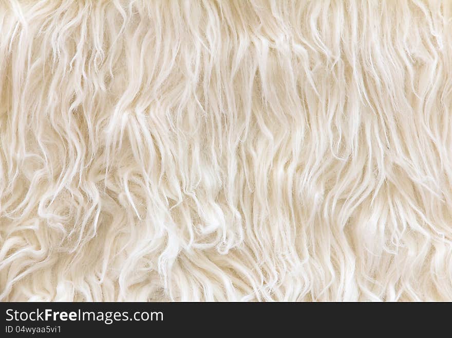 Sheepskin texture background