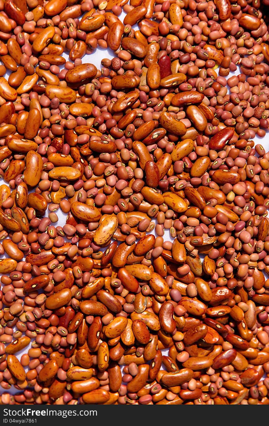 Kidney bean background