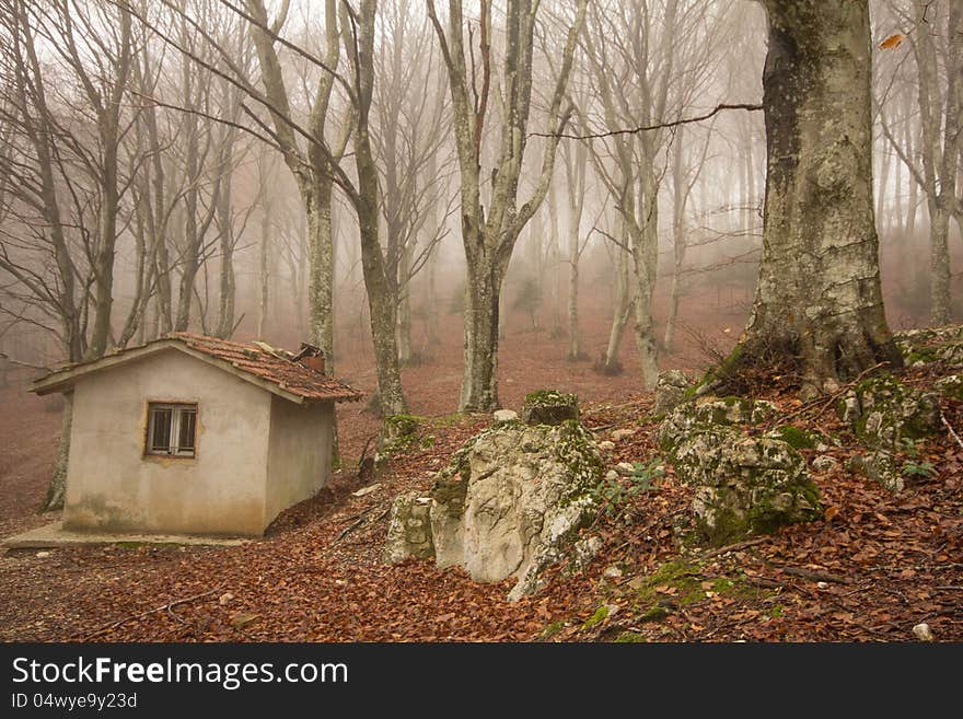 Little house in the forest in autumn