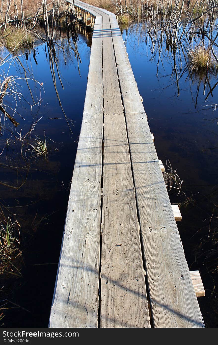 Wood walkway built over marsh water