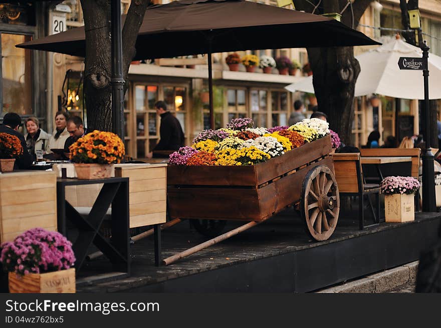 Bed with autumn flowers