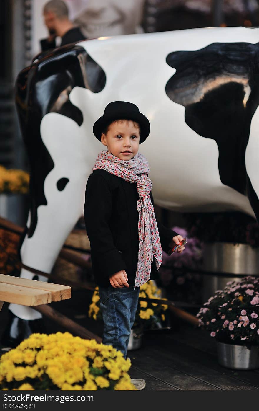 Child in a black coat and hat near the cows. Child in a black coat and hat near the cows