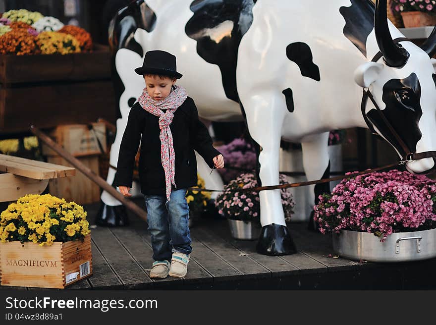 Child in a black coat and hat near the cows. Child in a black coat and hat near the cows