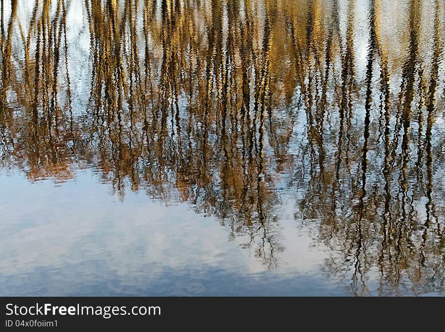 Ripples on the water.