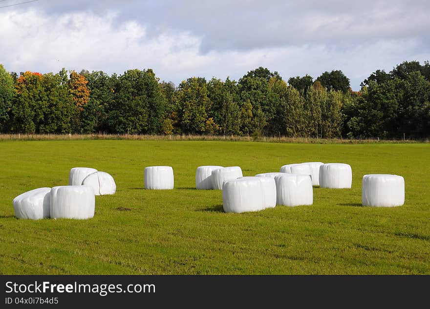 Field with straw bales