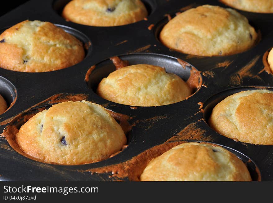 Fresh Blueberry Muffins in a tin right from the oven