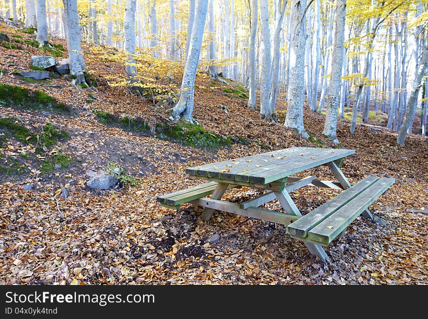 Picnic place in the natural park of Moncayo, Zaragoza, Aragon, Spain. Picnic place in the natural park of Moncayo, Zaragoza, Aragon, Spain