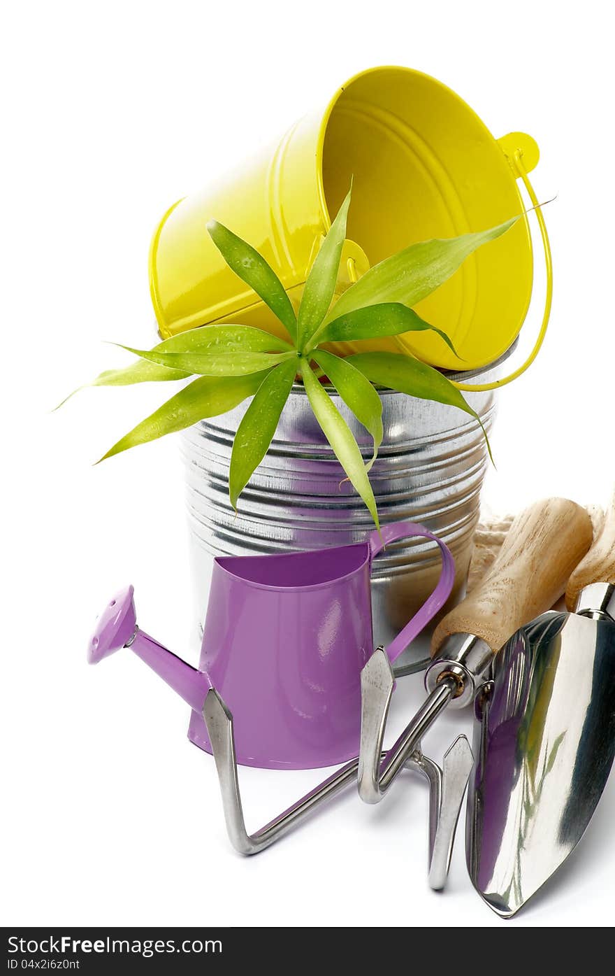 Watering Can with Gardening Tools, Tin and Yellow Buckets and Green Plant closeup on white background