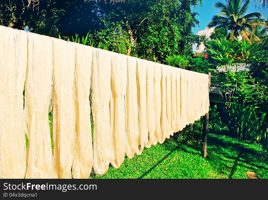 Dyeing silk and dried