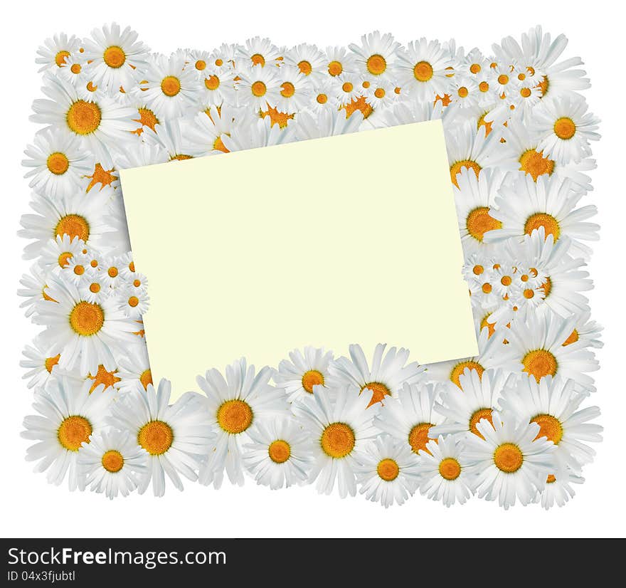 Blank yellow card on background of beautiful daisy flowers. Blank yellow card on background of beautiful daisy flowers