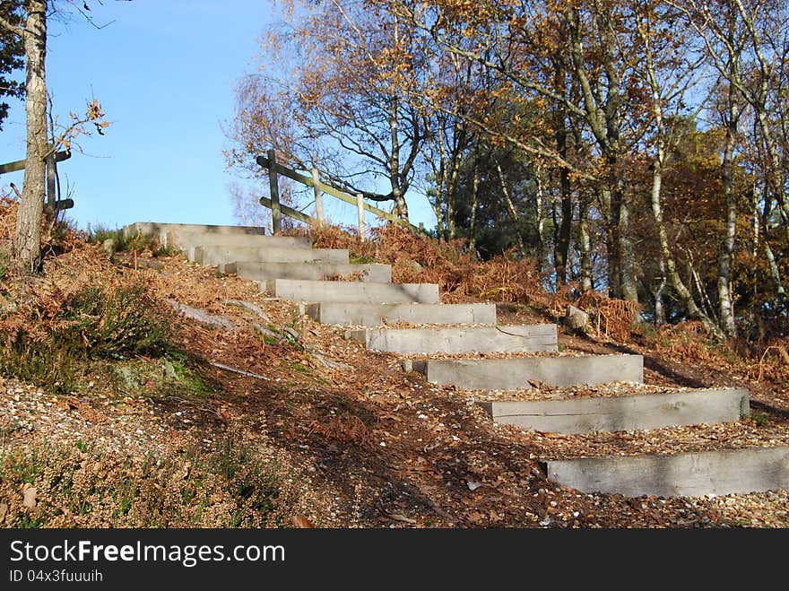 Wooden steps in rural woodland setting. Wooden steps in rural woodland setting