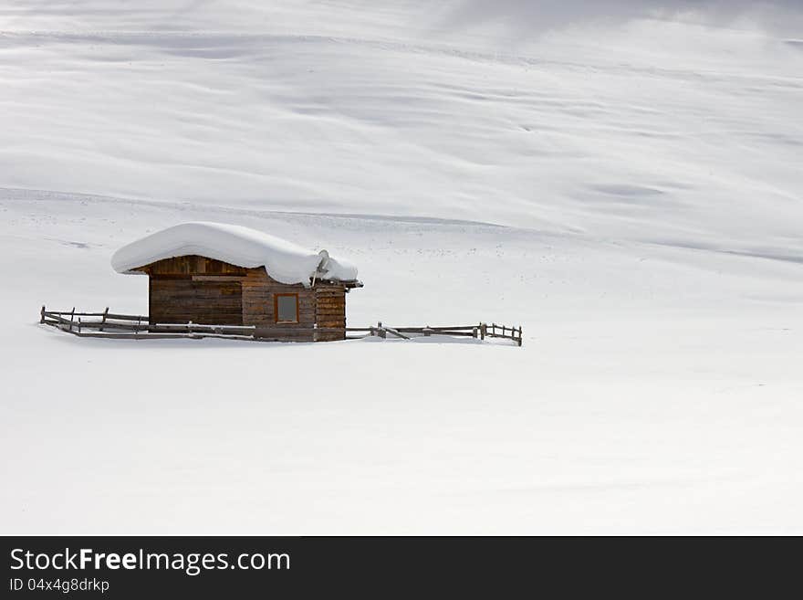 Winter Landscape