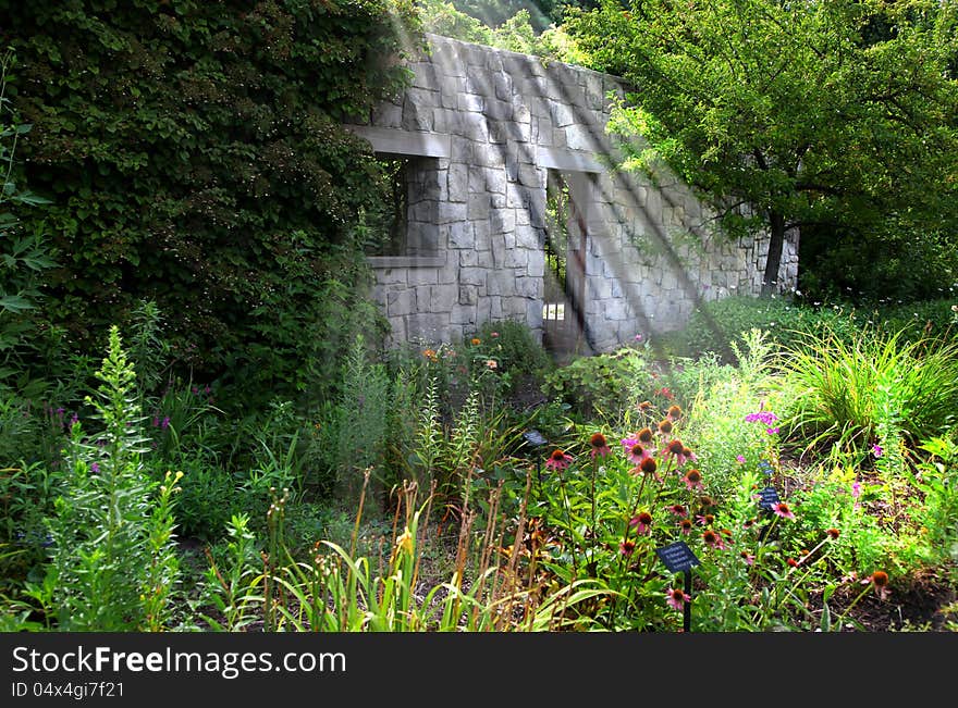 Beautiful flower garden under sun rays