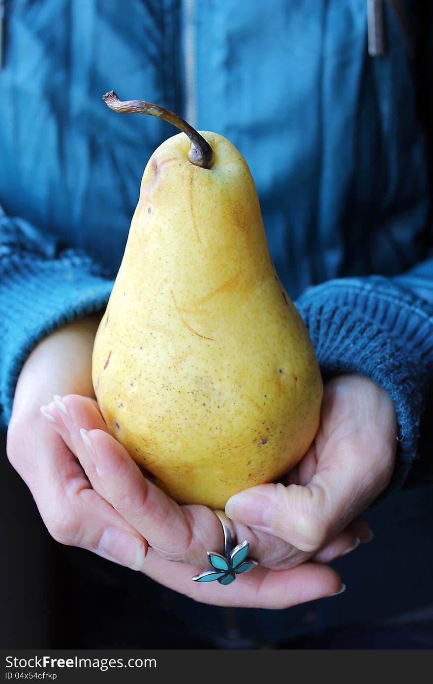 Woman hands holding a big pear on a dark blue green background and a flower ring. Woman hands holding a big pear on a dark blue green background and a flower ring