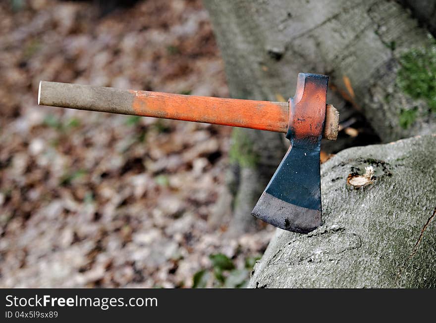 Ax stuck in a tree !