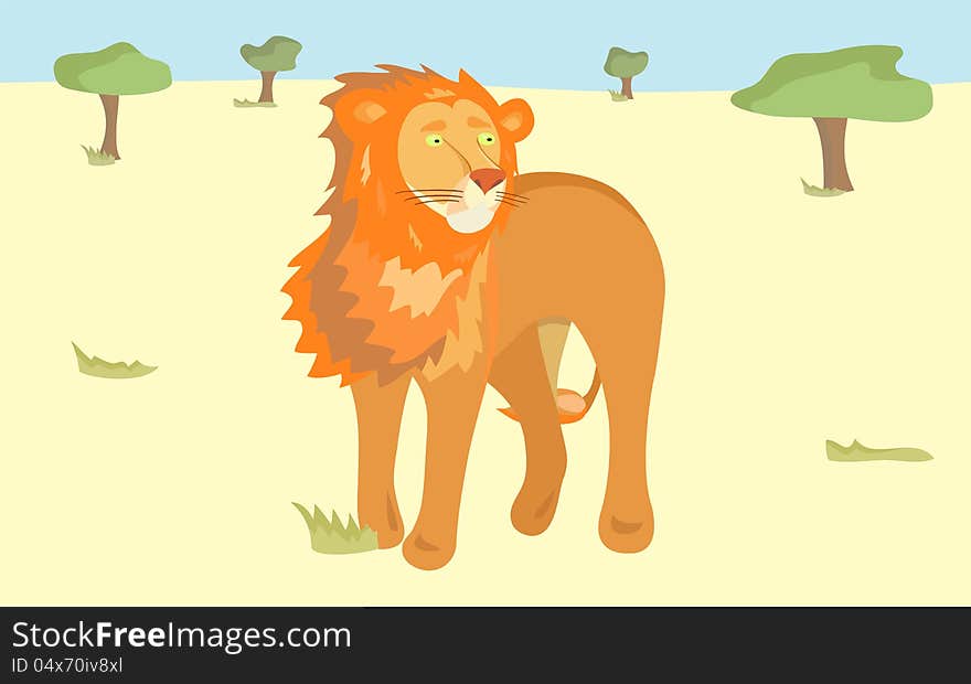 Orange lion in the savanna