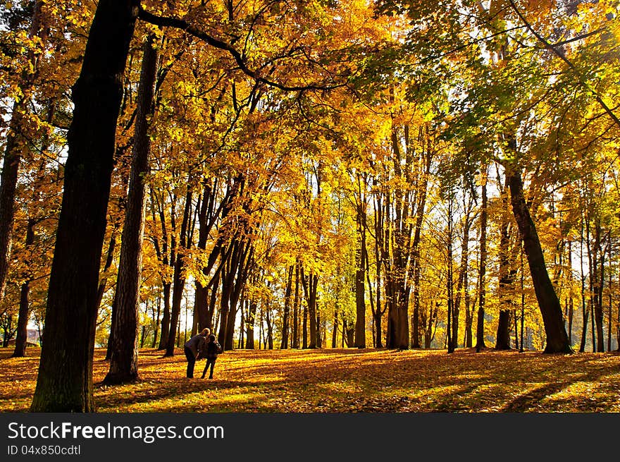 City park in autumn